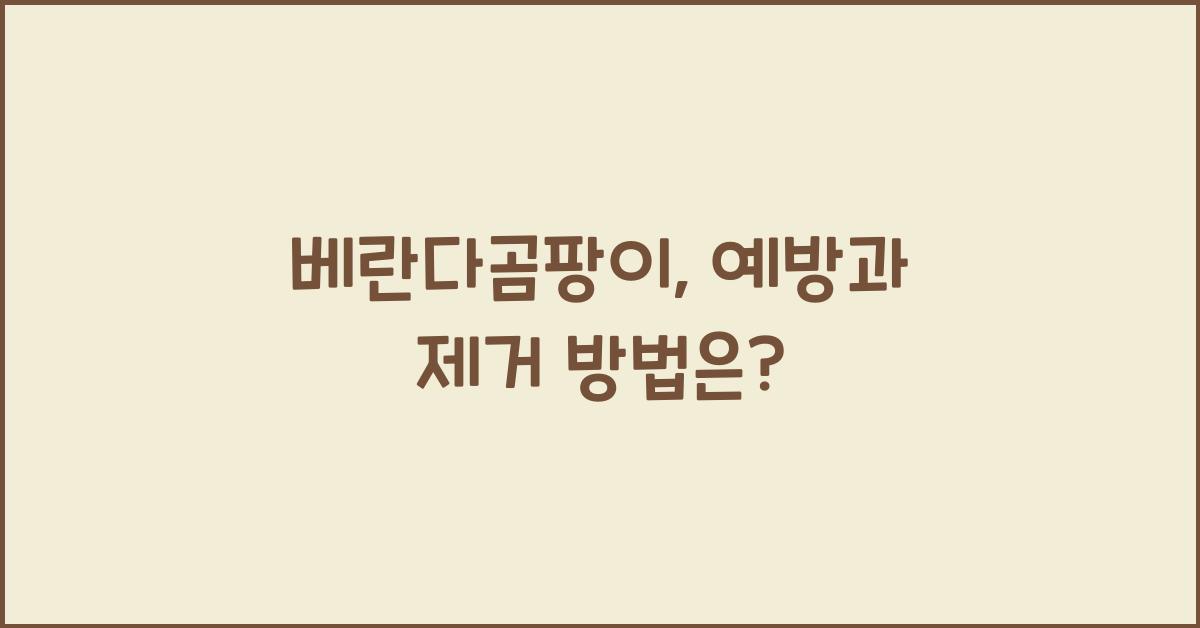 베란다곰팡이