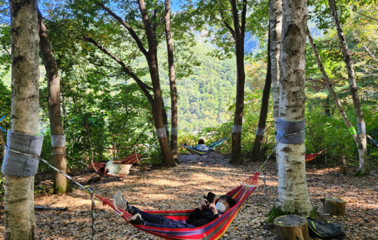 설악산 생태탐방원