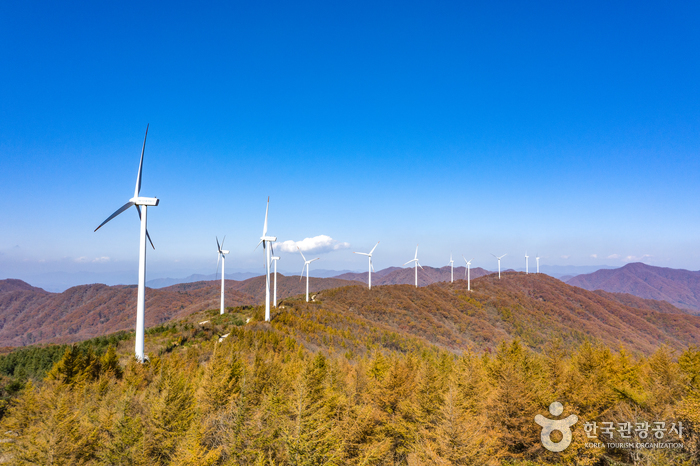 횡성 가볼만한곳 베스트10