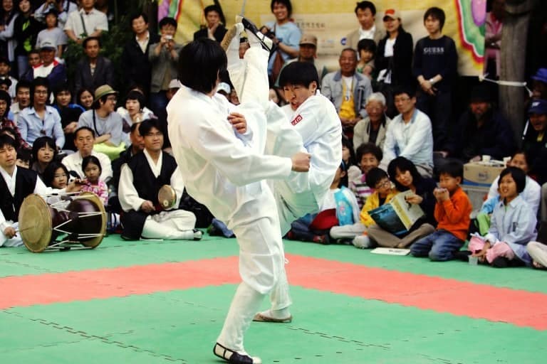 택견의 경기 규칙과 전략