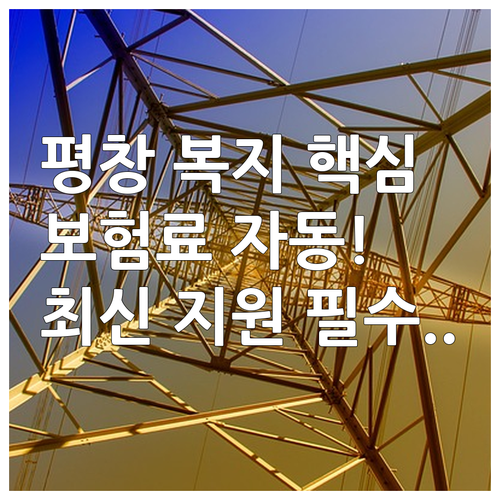 2025 평창군 복지 사각지대 해소 ..