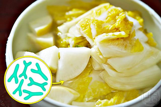 유산균 함량 많은 음식 백김치 유산균추천