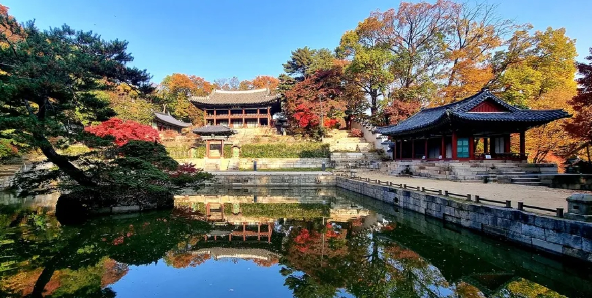 조선 궁권 창덕궁 후원