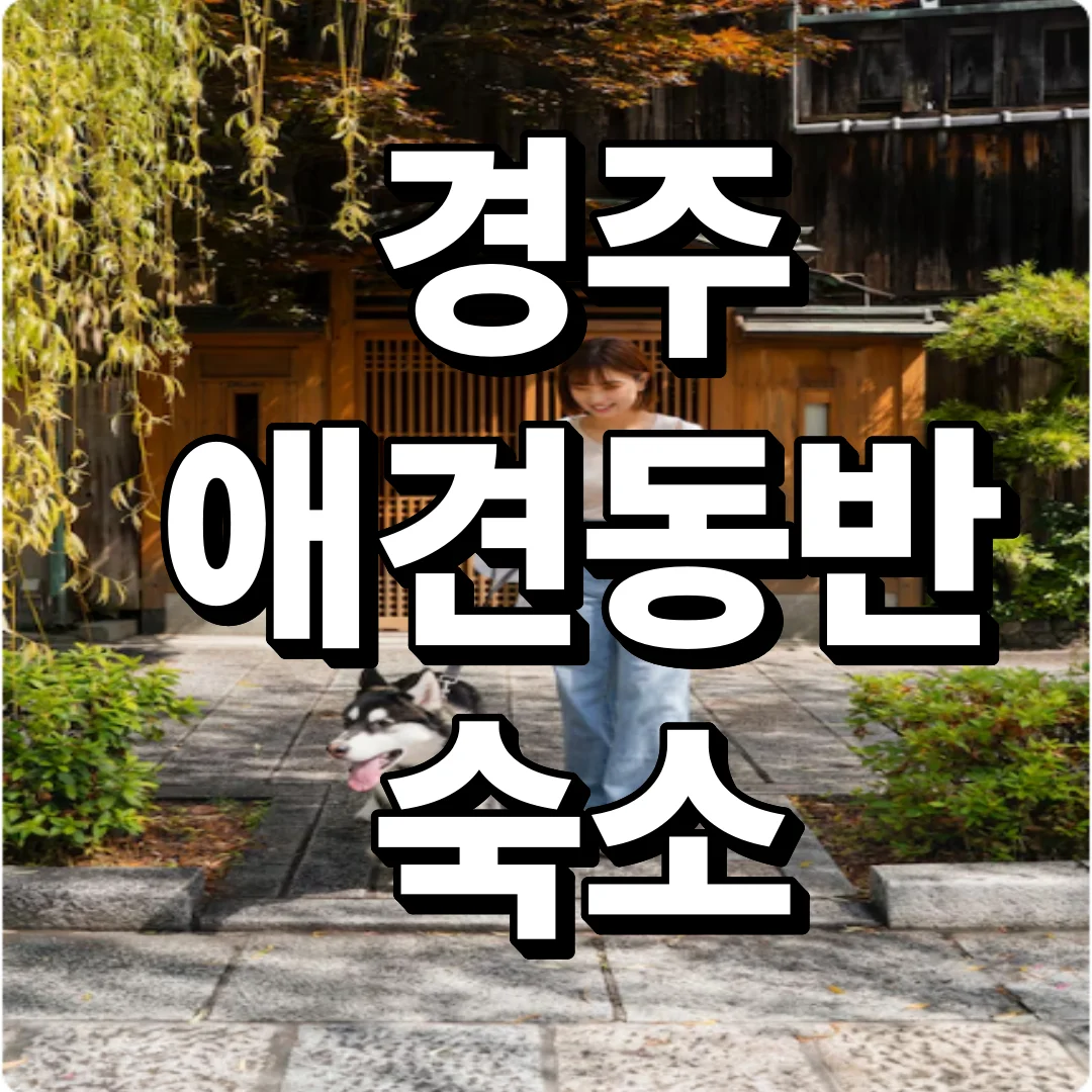 경주 애견 동반숙소 빠르게 찾는 방법