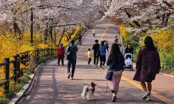2025년 3월 4월 5월 날씨 전망 봄 날씨 예보_40