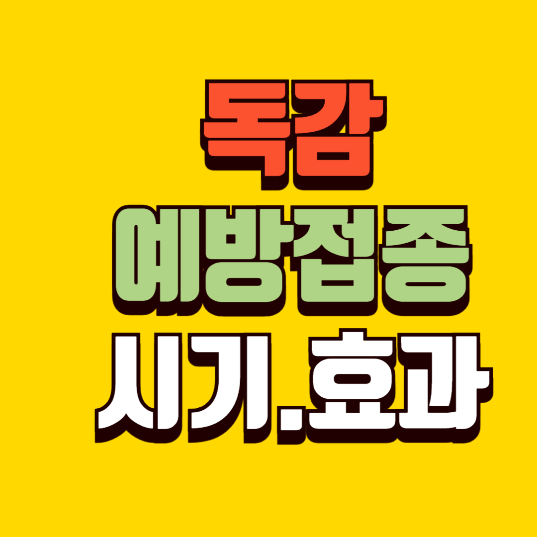 독감 예방접종 시기와 효과