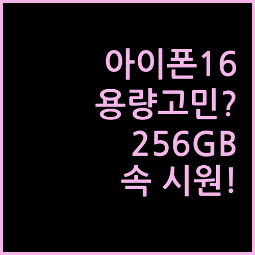 아이폰 16 용량 고민 끝 256GB