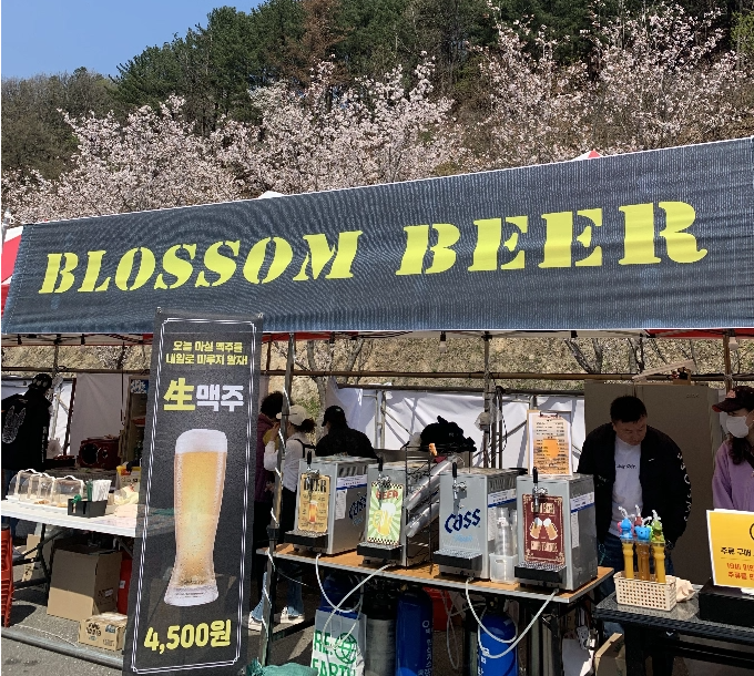 가평 벚꽃명소 에덴벚꽃길 벚꽃축제