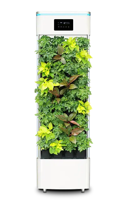 실내 공기질 개선 프로젝트 환기 시스템 없는 아파트에서 공기질 유지하는 법