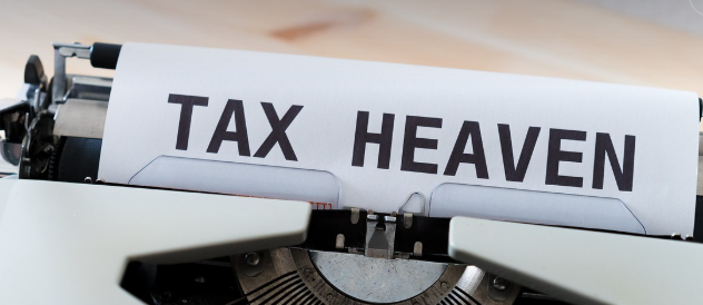 부가가치세 신고의 모습