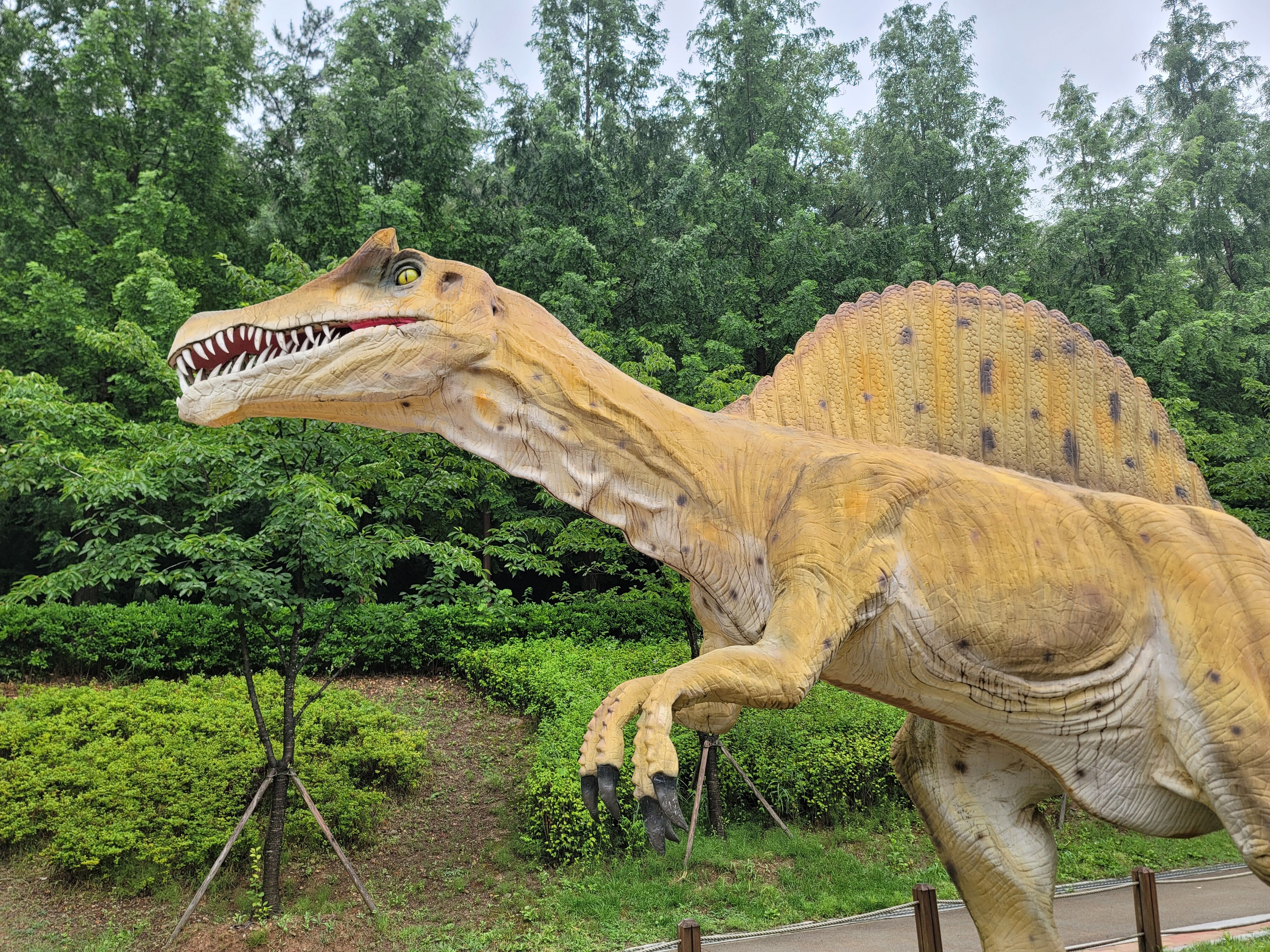 대구고산골공룡공원