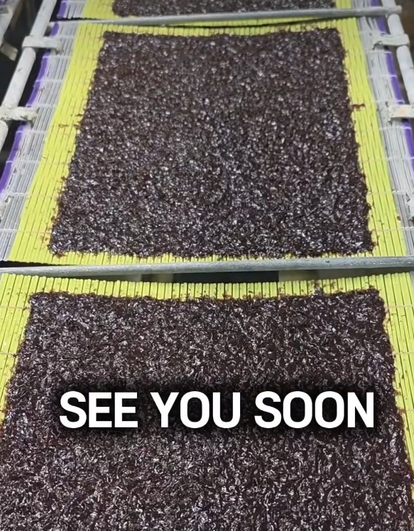 태안-곱창김-태안김장수김