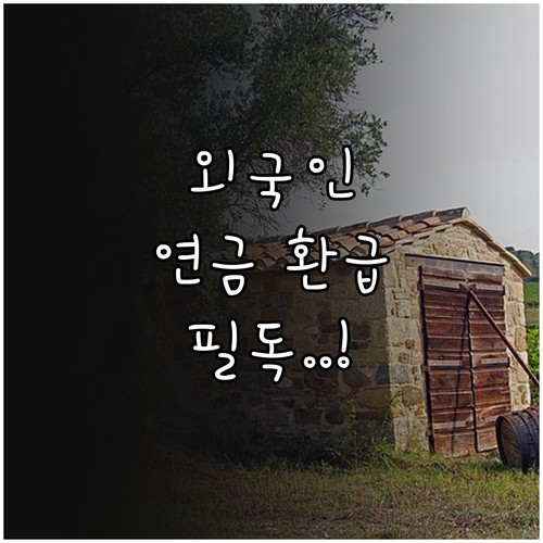 국민연금 반환일시금 외국인 가입자 대..