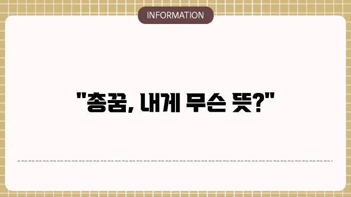 총맞는꿈 총쏘는꿈 총꿈 총에맞는꿈 총맞아죽는꿈 해몽