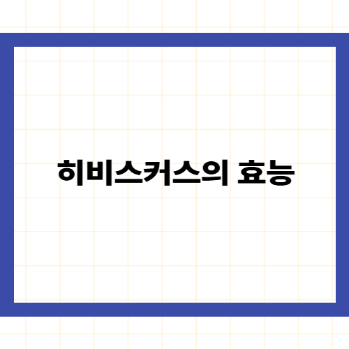 히비스커스의 효능 —
지방 흡수를 막는 붉은 꽃의 강력한 힘