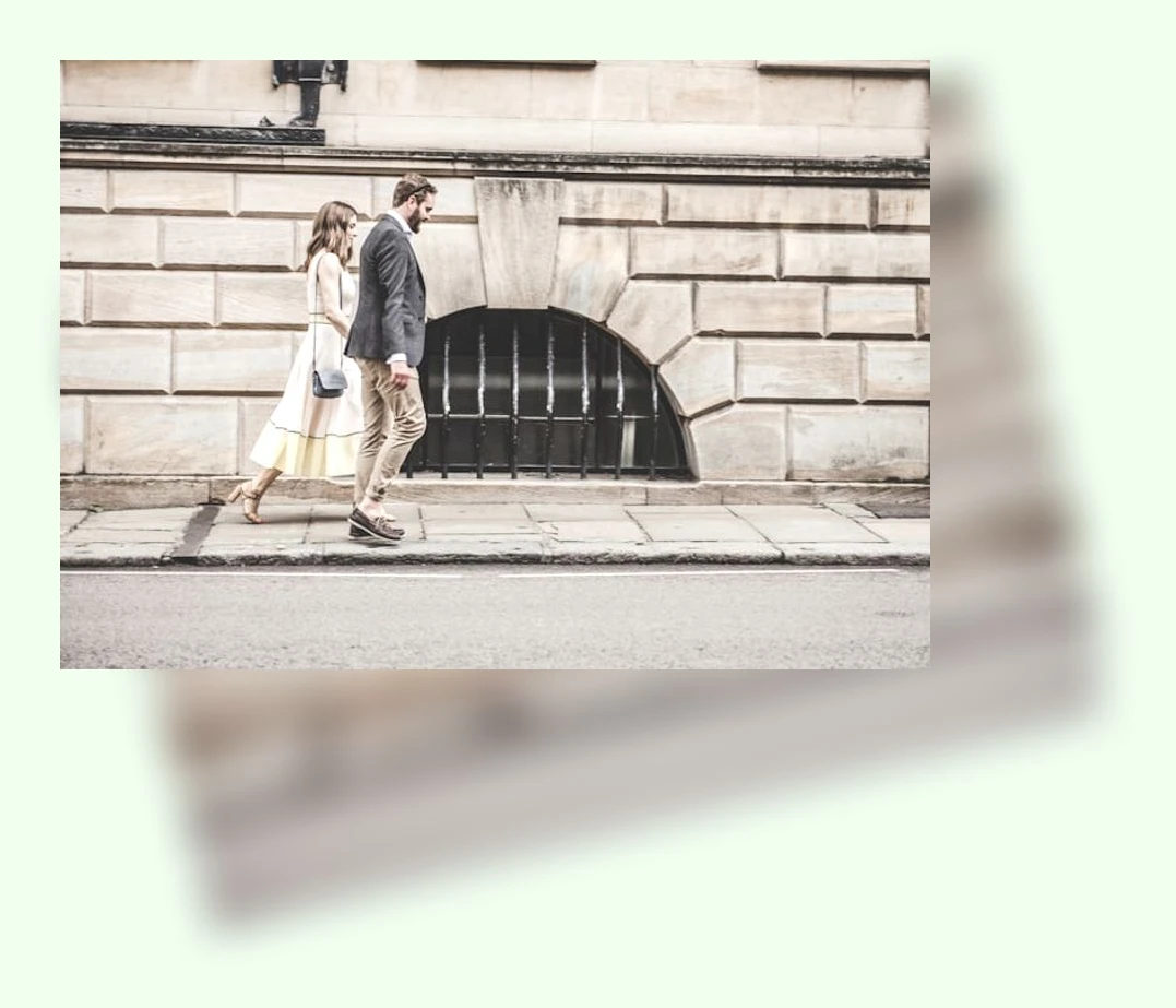 반려동물 해외 이동_3_subsection