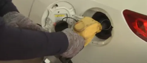 자동차 유종 알림