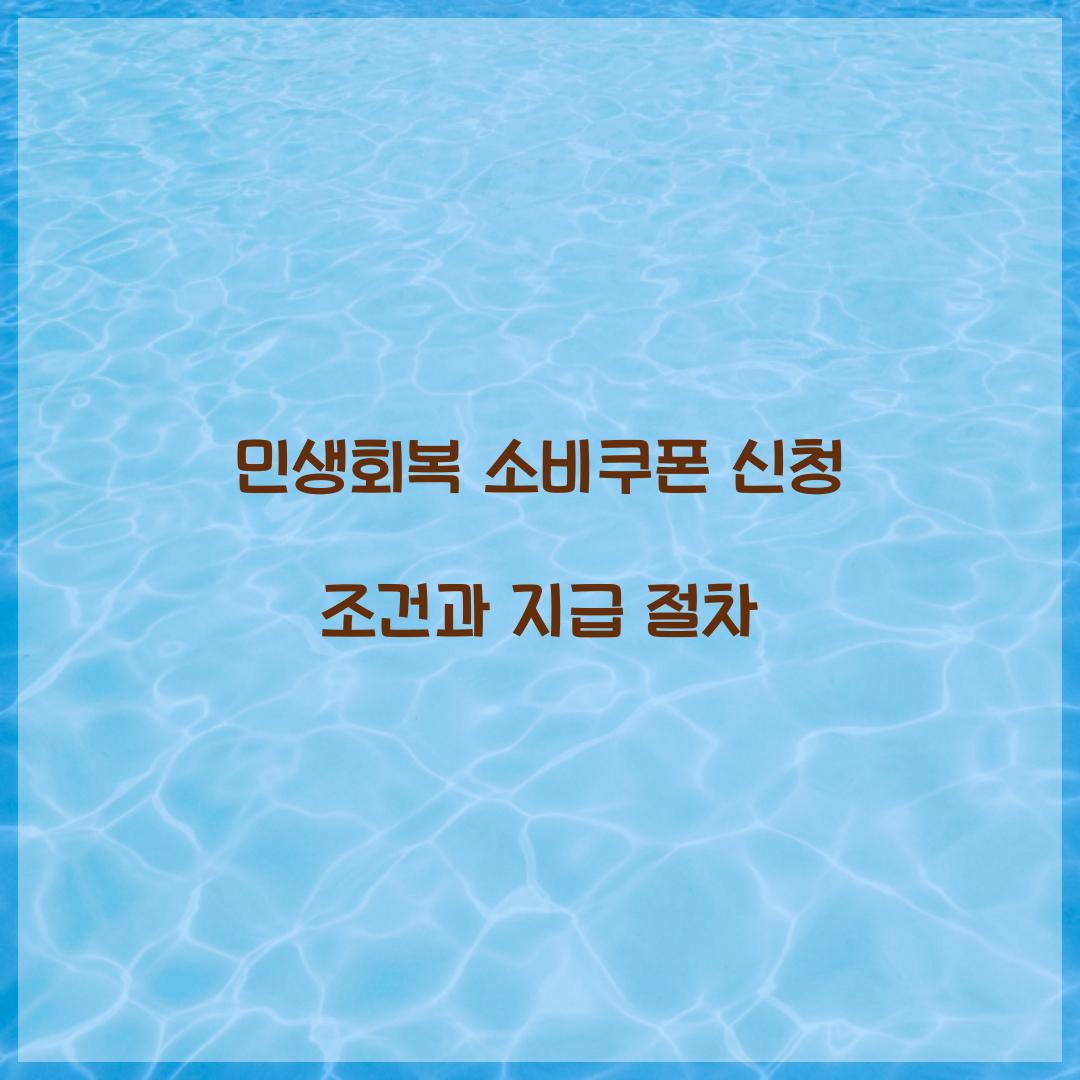 민생회복 소비쿠폰