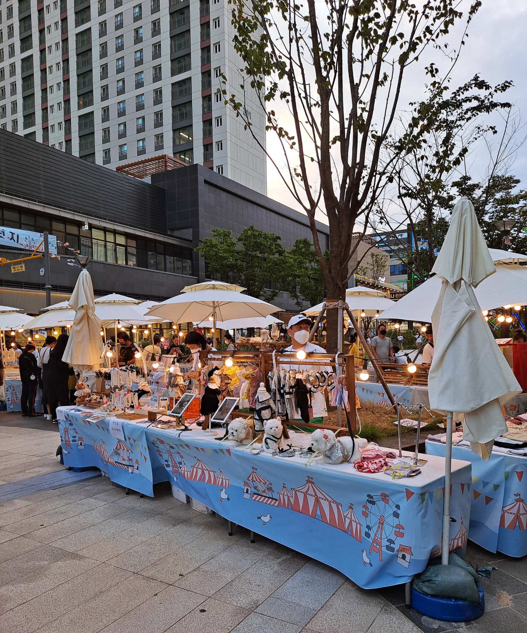 앨리유원지 폴리마켓