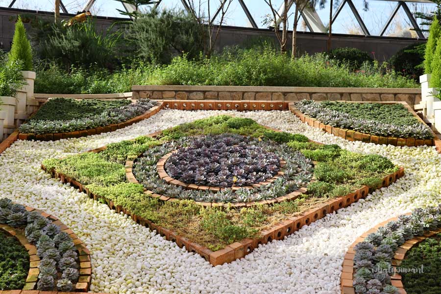 서울식물원 완벽 가이드: 온실