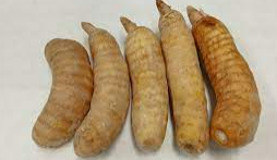 천마의 주요 성분