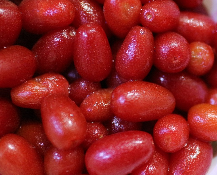 보리수청 만드는 방법 보리수청 보관 방법