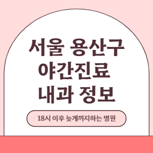 서울 용산구 야간진료 내과 병원 (18시 이후 늦게까지하는 병원)