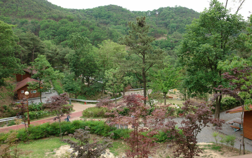 대구경북 캠핑장 추천