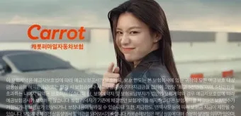 캐롯 다이렉트 자동차보험 장단점과 가입 전 알아둘 점 체크포인트_18