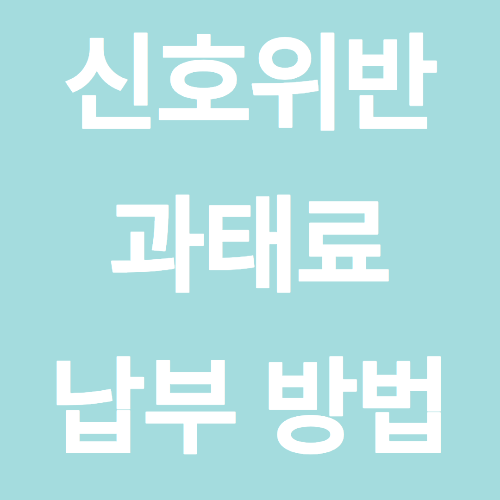 신호위반 과태료 납부 방법