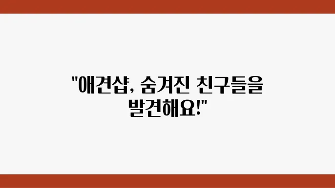 고양이의 다양한 매력
