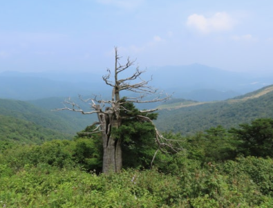 태백산전경