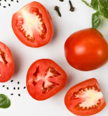 토마토 효능 부작용 고르는법 칼로리