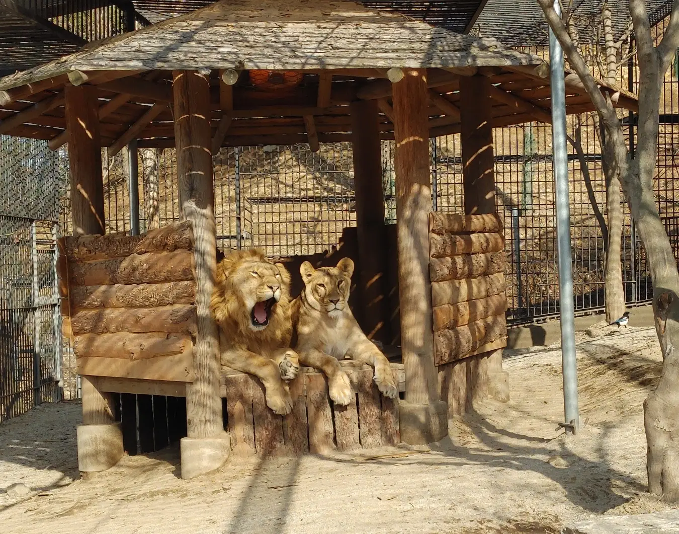 아침고요수목원-입장료-운영시간-관람안내