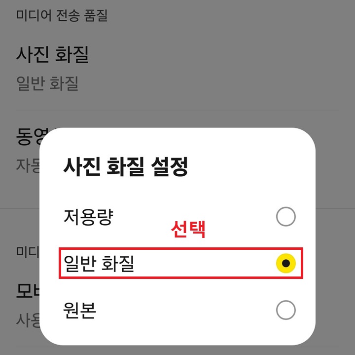 사진 화질 설정 창 보임