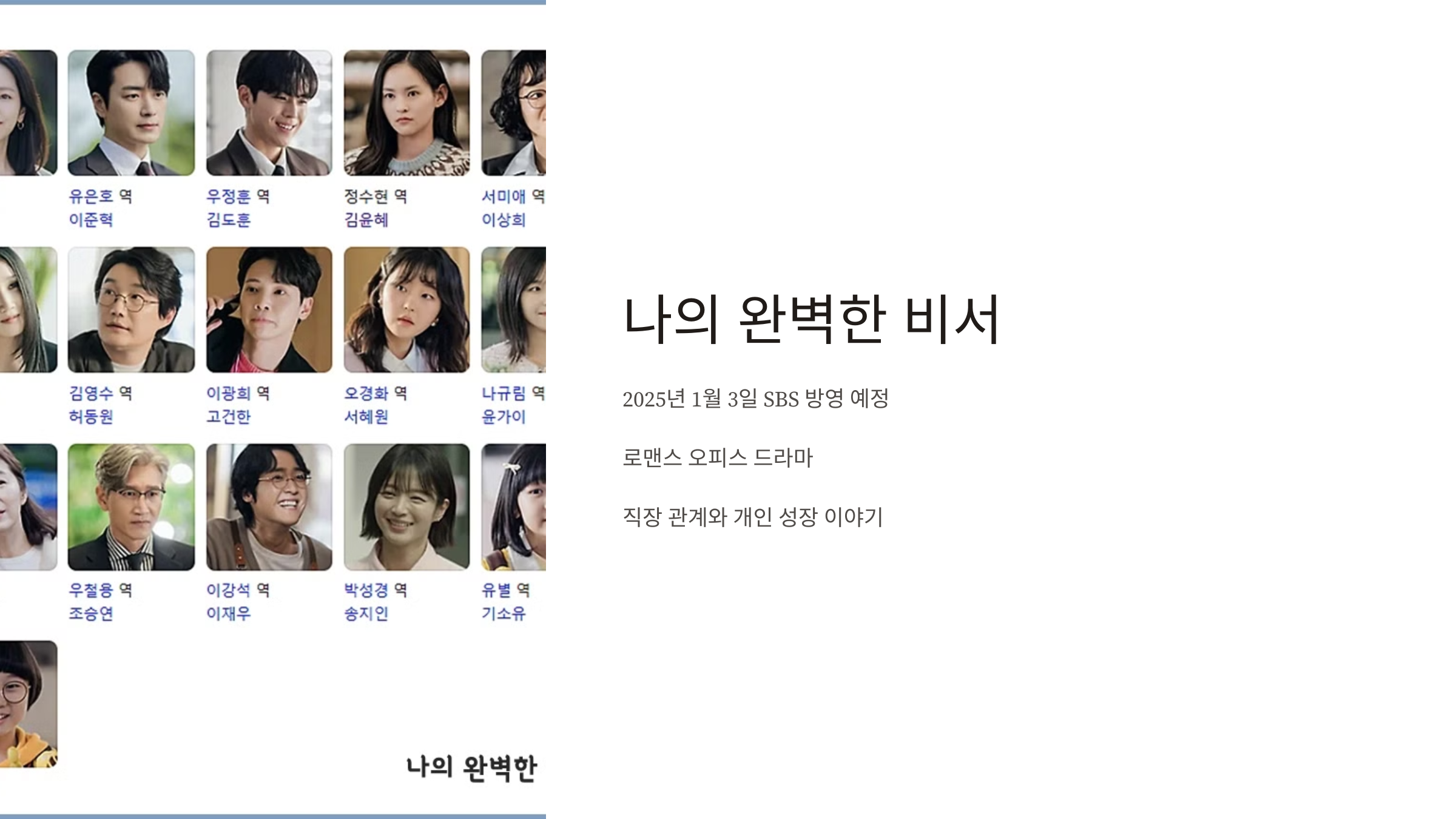나의 완벽한 비서