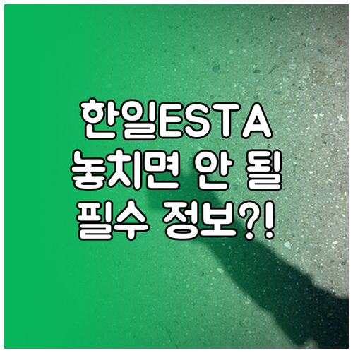 한일 공통 ESTA 신청 필수 정보와..