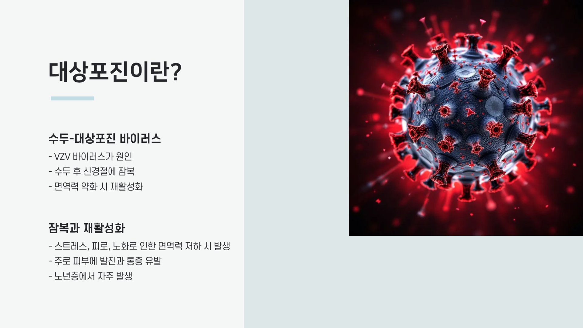 대상포진 증상과 전염성 꼭 알아야 할 정보