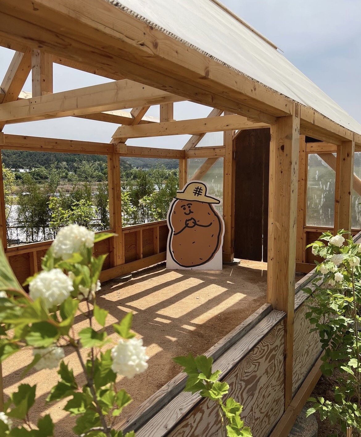 춘천 감자밭 감자빵