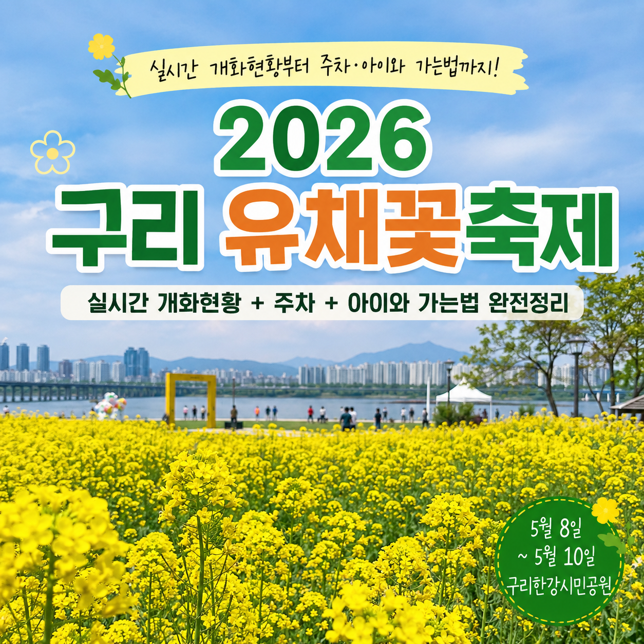 2026 구리 유채꽃축제 실시간 개화현황부터 주차·아이랑 다녀온 후기 느낌까지