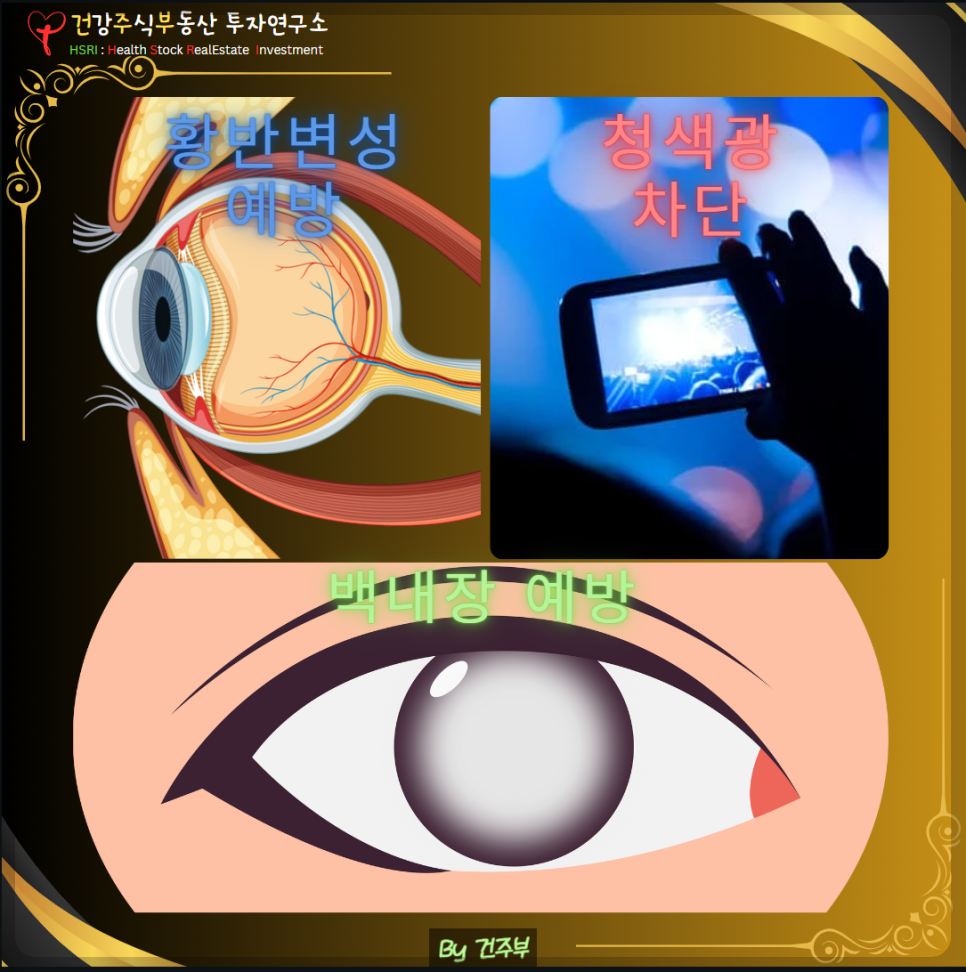 루테인 효과 : 황반 변성 예방, 청색광 차단, 백내장 예방 건주부