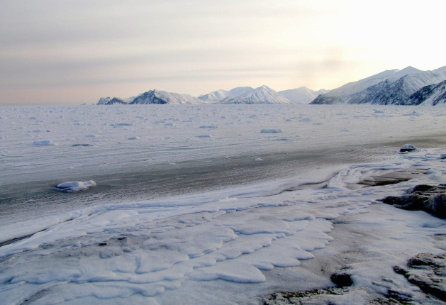 제로웨이스트 식품 산업과 지속 가능한 먹거리 혁신