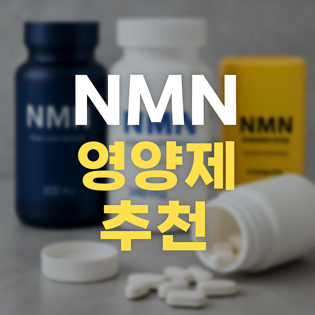NMN 영양제 추천