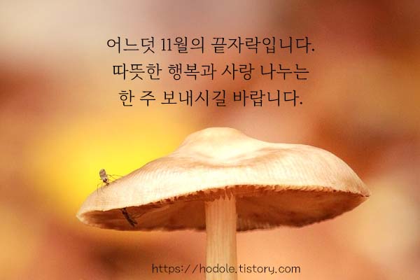 어느덧