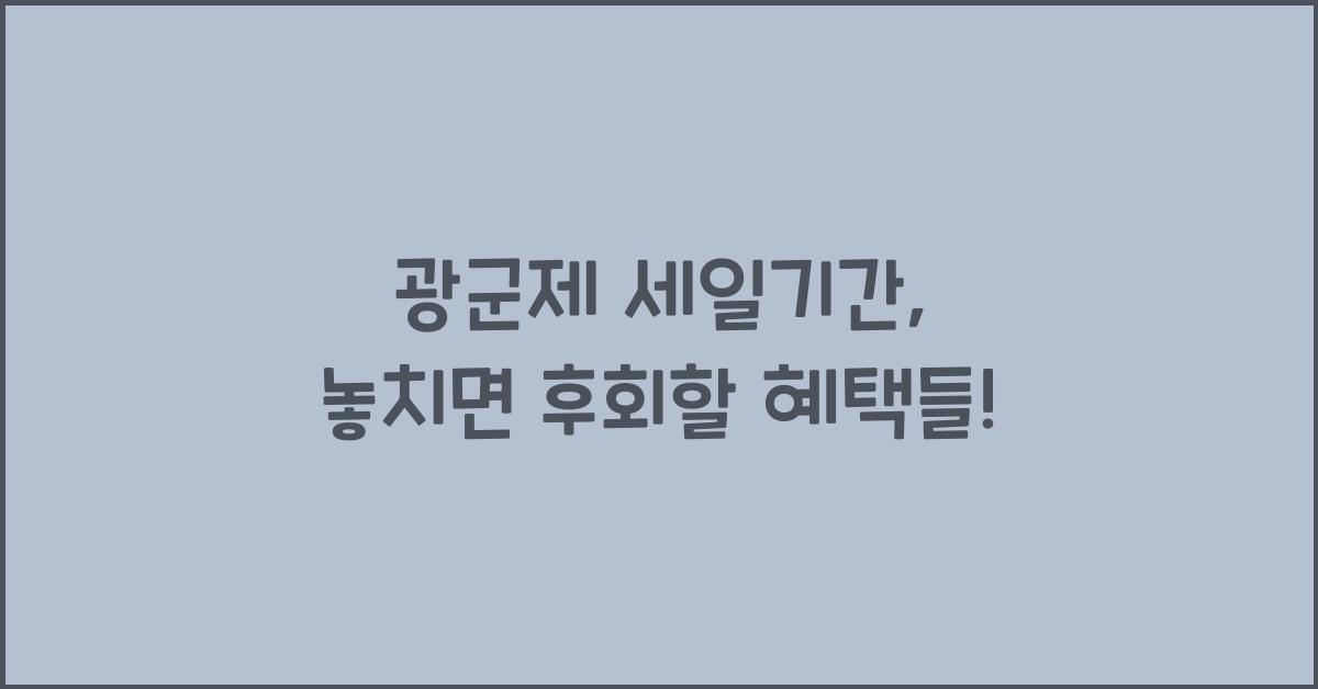 광군제 세일기간