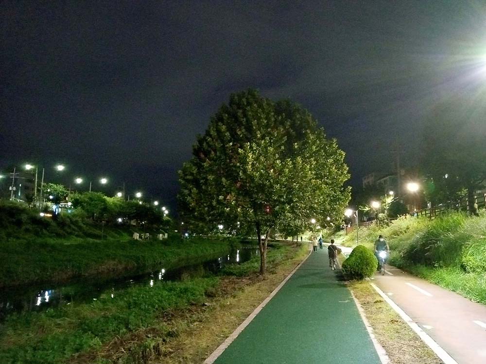 백련산 근린공원따라 나 혼자 걷기