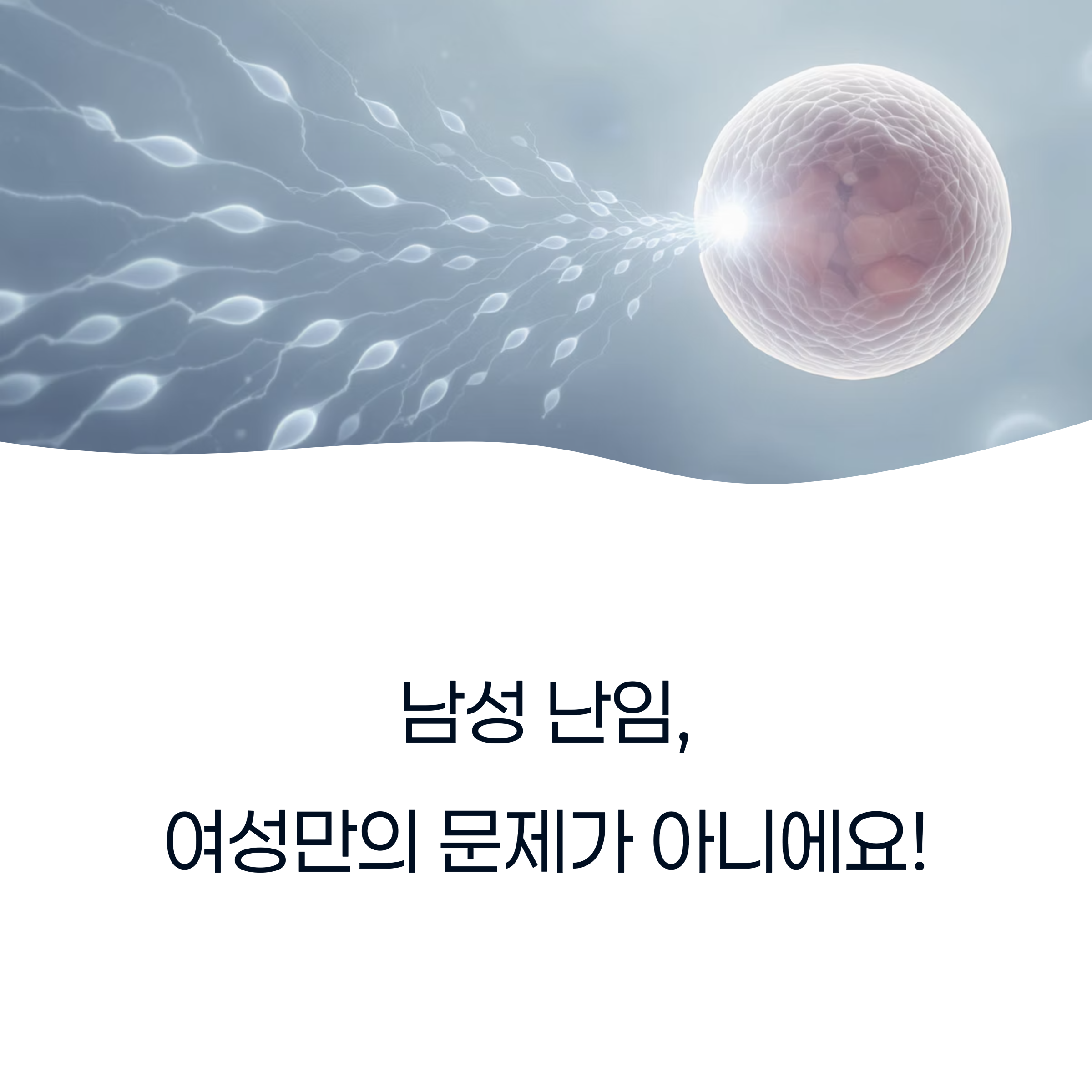 난자를 향해 정자가 헤엄치는 이미지를 배경으로 "남성 난임, 여성만의 문제가 아니에요!"라는 문구가 적힌 인포그래픽 이미지