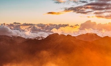 4주 완성 결혼 다이어트 시리즈 상위 1%만 하고있는 기법 알아보기