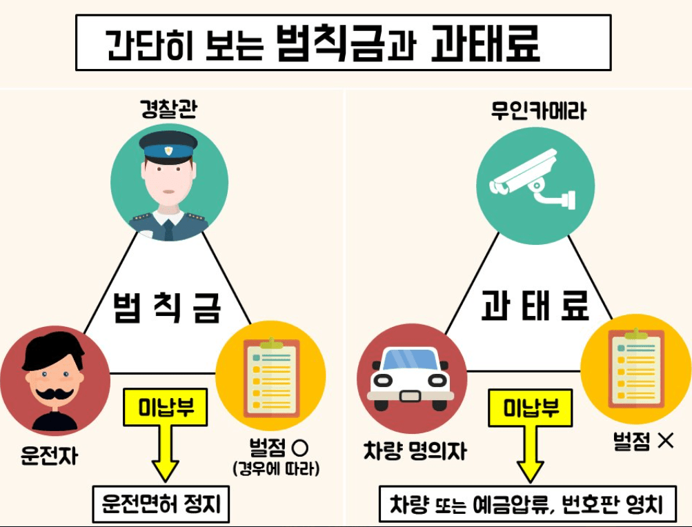 범칙금 과태료 차이