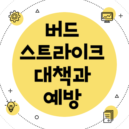 항공기 사고 조류 충돌 사고와 예방 방안